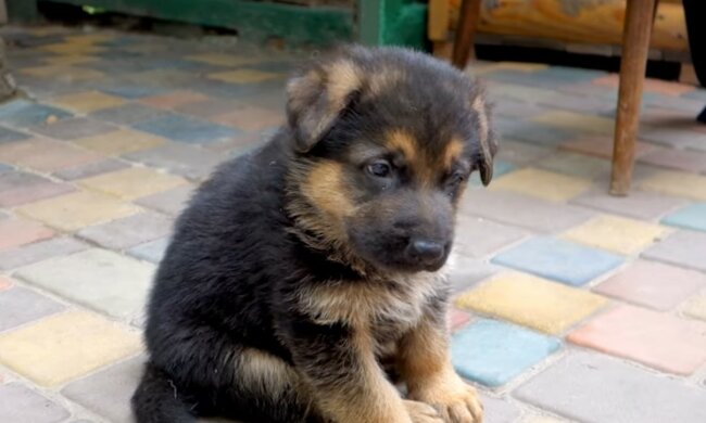 Neues und glückliches Leben für Baby. Quelle: Screenshot YouTube