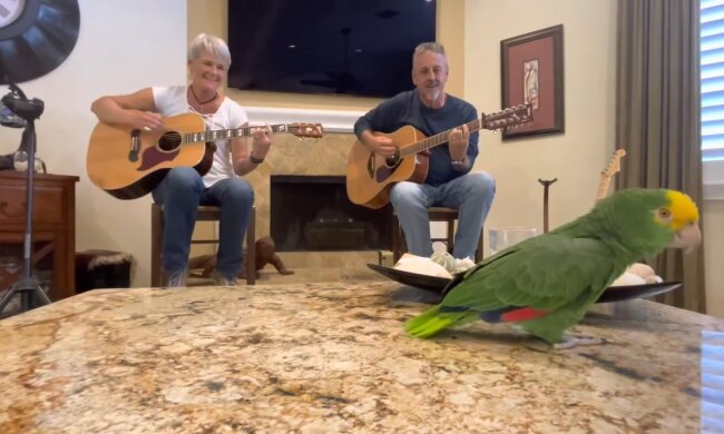 Harmonie in der Nachbarschaft. Quelle: Youtube Screenshot