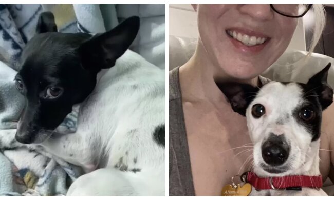 Laurie und Gerry. Quelle: Screenshot