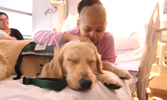 Gegenseitiges Verständnis. Quelle: Screenshot YouTube