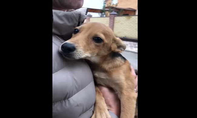 Terry. Quelle: Youtube Screenshot