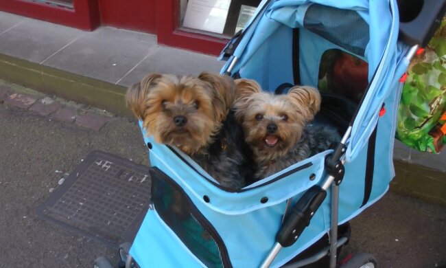 Ein Mann und sein unkonventioneller Weg. Quelle: Youtube Screenshot