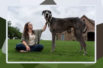 Der größte Hund der Welt. Quelle: travelask.com