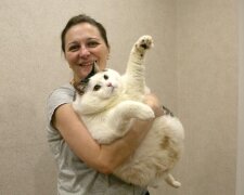 "Flauschige Riesin": Eine Katze wiegt wie ein 200 Kilogramm schwerer Mann