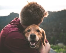 "Das Schicksal hat ihn mir geschickt": Ein Veteran, der nicht sehen kann, nahm einen ausgesetzten Hund auf