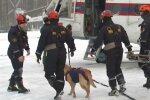 Eine noble Tat: Unter Einsatz seines Lebens beschloss der Feuerwehrmann, einen Hund aus dem brennenden Haus zu retten