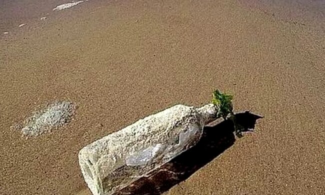 Flasche mit dem Brief am Strand. Quelle: Screenshot Youtube