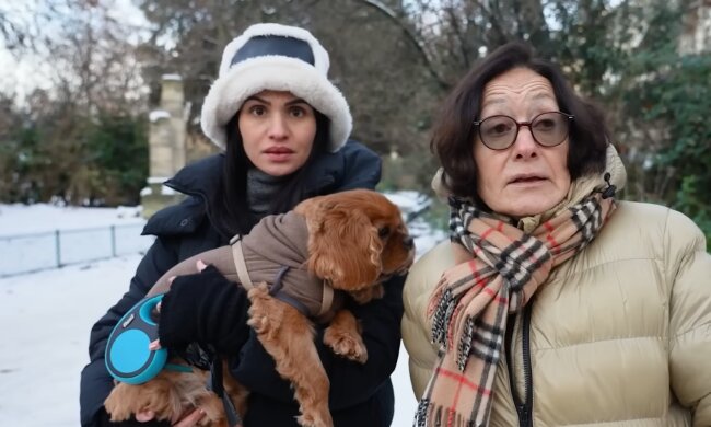 Vermieter vs. Tierliebe. Quelle: Youtube Screenshot