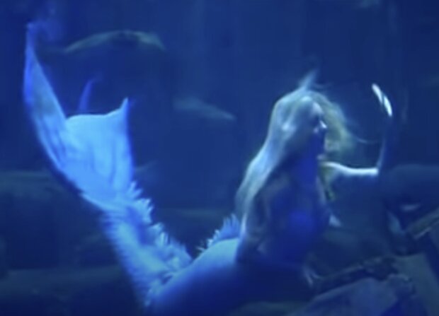 Meerjungfrau. Quelle: Screenshot YouTube