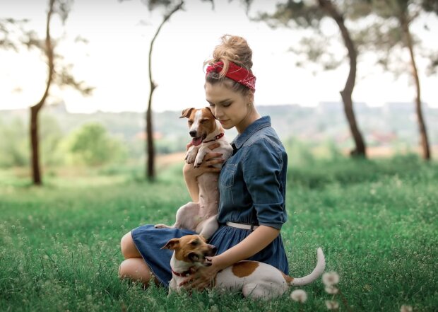 Frau und Hunde. Quelle: Screenshot YouTube