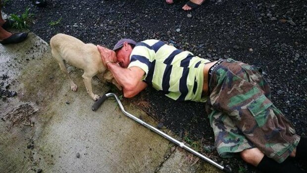 Menschen gingen gleichgültig an dem alten Mann vorbei, der auf dem Boden lag und nur der Hund versuchte, den Besitzer zu retten