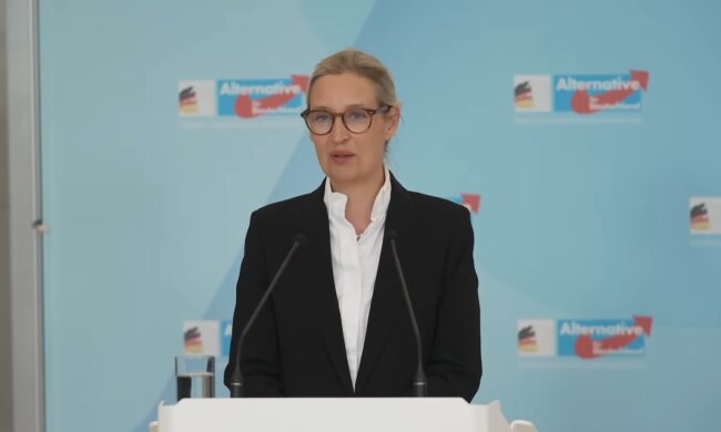 AfD plant umstrittene Baby-Prämie. Quelle: Youtube Screenshot