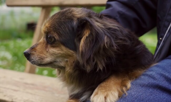 Tali vor 3 Jahren. Quelle: YouTube Screenshot