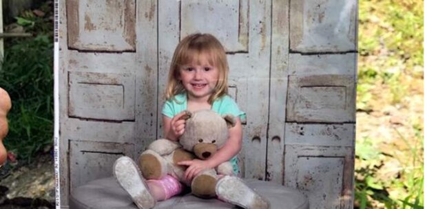 Ein zweijähriges Mädchen verschwand spurlos: Drei Tage später erschien ein Hund vor der Haustür seines Hauses