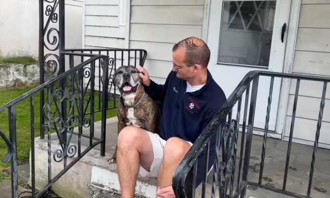 "Auf Wiedersehen, Freund": Die ganze Stadt kam zum letzten Spaziergang des Hundes