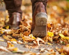 Klimawandel: Der Herbst 2020 war der wärmste in Deutschland seit 1881, Details