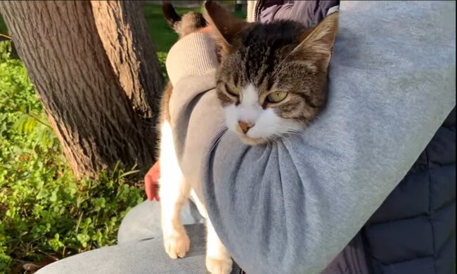 Gegenseitiges Verständnis. Quelle: Screenshot YouTube