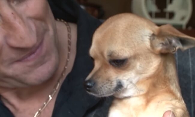 Der Mann mit den fünf Hunden. Quelle: Youtube Screenshot