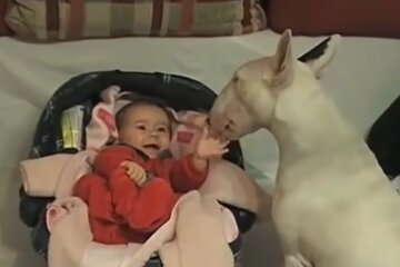 Baby und Hund. Quelle: Screenshot Youtube