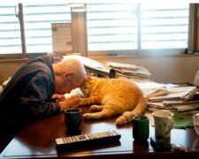 Enkelin schenkte ihrem Großvater ein Kätzchen und die Katze gab ihm die Lebensfreude zurück