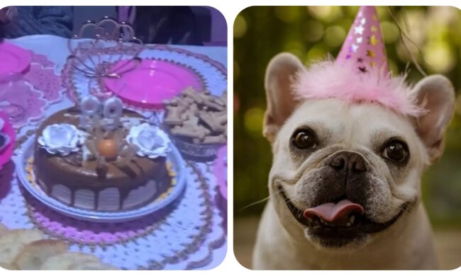 Geburtstagsparty. Quelle: animalchannel.com