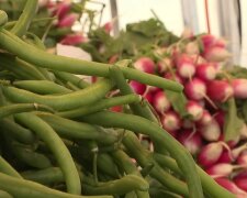 Gemüsepreise steigen rasant. Quelle: Youtube Screenshot