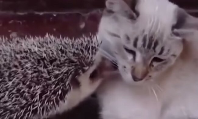 Es gibt keine verlassenen Kinder. Quelle: Screenshot YouTube