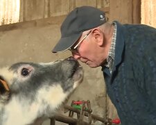 Von Hühnern und Herzen. Quelle: Youtube Screenshot