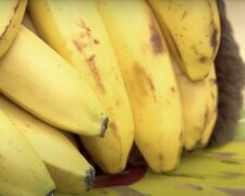 Bananen. Quelle: Screenshot YouTube
