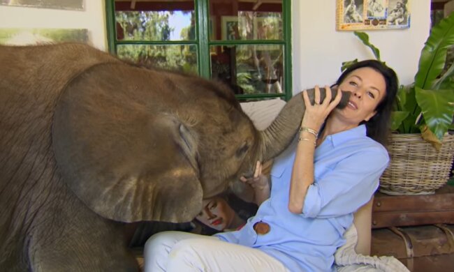 Illustratives Bild. Quelle: Youtube Screenshot