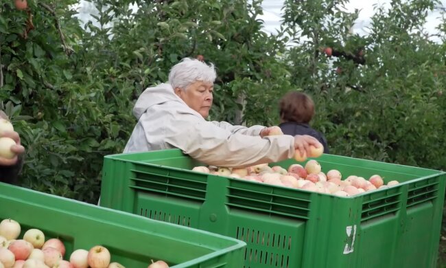 Die unerwartete Herausforderung. Quelle: Youtube Screenshot