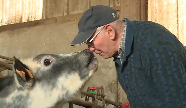 Von Hühnern und Herzen. Quelle: Youtube Screenshot