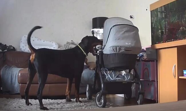 Macy und Tommy.. Quelle: YouTube Screenshot