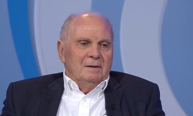 Hoeneß kritisiert Umgang mit AfD und fordert Diskussion. Quelle: Youtube Screenshot
