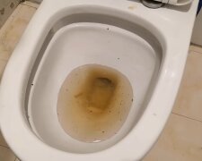 Ein Mann zahlt einem Klempner 500 Euro für die Reinigung seiner Toilette.
