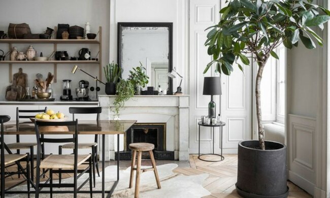 Foto: realestate.24tv.com