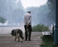 Ein einsamer alter Mann, über den seine Familie vergaß, dachte nicht einmal daran, dass ein Hund sein Leben verändern konnte