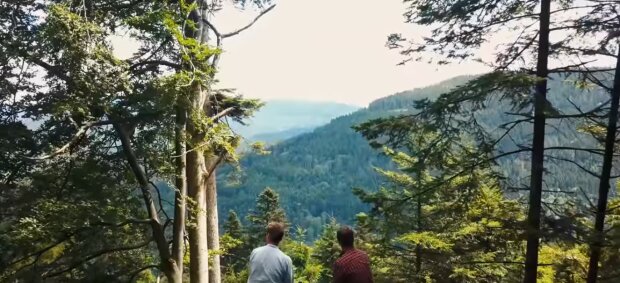 Der Schwarzwald. Quelle: Youtube Screenshot