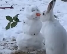 Ein Hase und ein Schneemann. Quelle: Screenshot YouTube