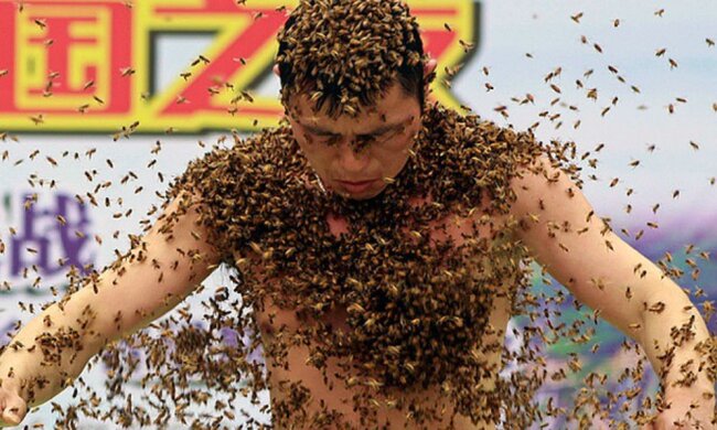 Warum ein Chinese und 63 Kilo Bienen ins Guinness-Buch der Rekorde gerieten
