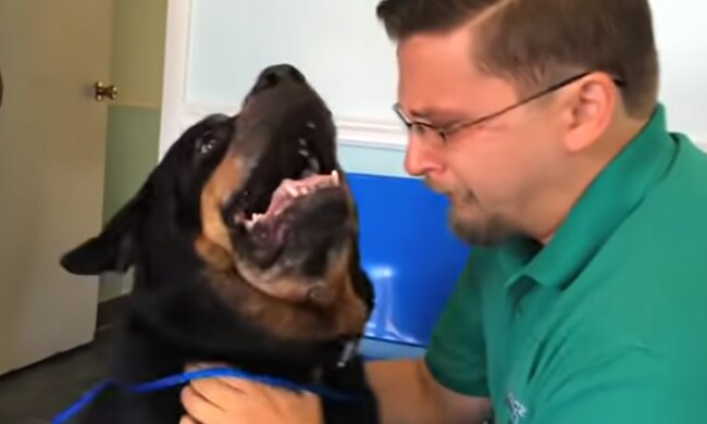 Berührende Familienwiedervereinigung. Quelle: Screenshot YouTube