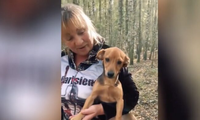 Frau und Hund. Quelle: Screenshot YouTube
