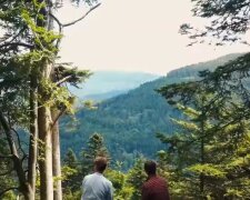 Der Schwarzwald. Quelle: Youtube Screenshot