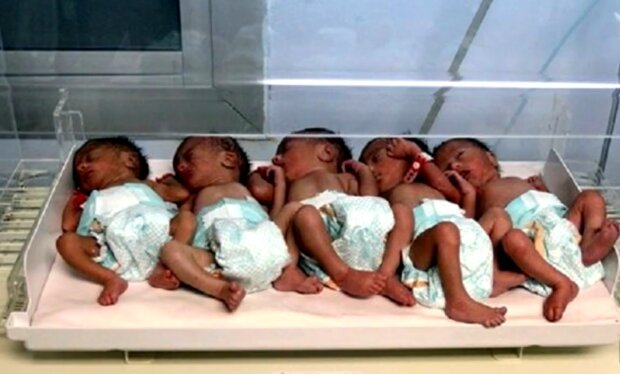 Neugeborene Babys. Quelle: Screenshot Youtube