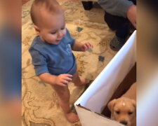 Ein Kleinkind öffnet ein Geburtstagsgeschenk mit einem Hundewelpen: Seine Reaktion bringt das Herz zum Schmelzen