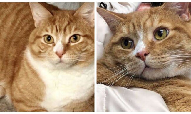 Jacques. Quelle: Screenshot