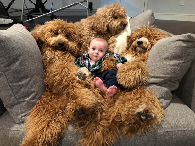 Baby Theo hat wunderbare Babysitter, die Teddybären sehr ähnlich sind