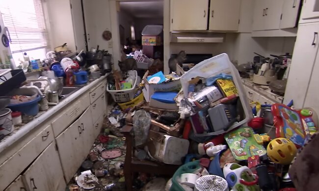 Zwischen Staub und Schimmel.  Quelle: Youtube Screenshot