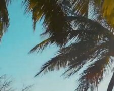 IMG_20200707_145756
