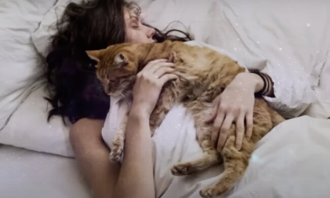 Katze. Quelle: Screenshot YouTube